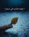 FB_IMG_1733073817208.webp