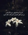 FB_IMG_1733590749569.webp