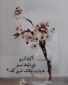 FB_IMG_1733590795900.webp