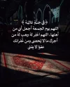 FB_IMG_1733590888073.webp