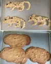 FB_IMG_1741292886993.webp