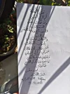 5981305416895810296.webp