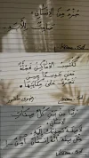 5981305416895810279.webp