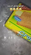1000021519.jpg