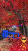 1000022338.webp