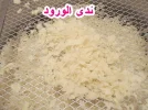 13.webp