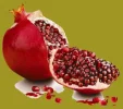 2ee3891a3482c9b27ad637d1be682216.webp