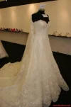 113824866.webp