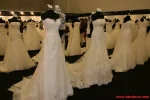 251778380.webp