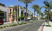 rodeo-drive-beverly-hills1.jpg