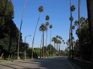 Beverly_Hills-1.jpg