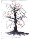 2_1187486579-solved.webp