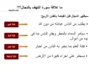 E8355024.webp