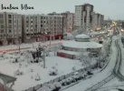 11.webp
