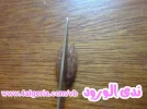 02.webp