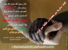 11.webp