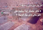 p14.webp