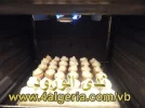 07.webp