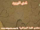 03.webp