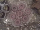 P10-10-14_20.25[2].webp