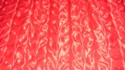 DVCI0077.webp