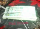SAM_0875.webp