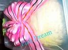 SAM_0818.webp