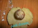 SAM_9728.webp