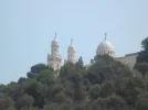 SAM_0931.webp