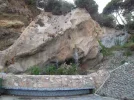 SAM_1057.webp