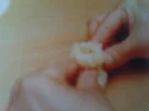 DSC00259.JPG