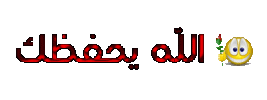 0x4x_0x4x_8357089.gif