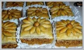 images (6).webp