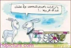 images (27).webp