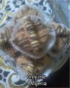 img1498769119945.webp