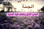 B0VJF7LCQAAL_90.webp