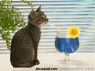 th-15.webp