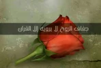IMG_20171030_193840.webp