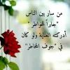 DMWeDbPWkAAmE4F.webp