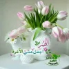 IMG-20171014-WA0004.webp