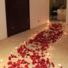 4_19017.webp