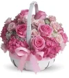 shof_f6f4d168a1d2b64.webp
