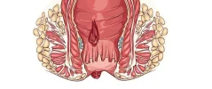 tbl_articles_article_14024_604.webp