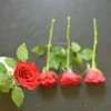 IMG_20180129_205136_681.webp