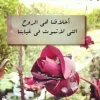 109071dreamjordan.com.webp