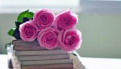 rose-flowers-bouquet-books-hd-wallpaper.jpg