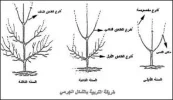 téléchargement (1).webp