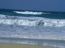 file-31463813.webp