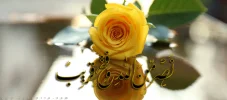 10.webp