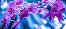 8.webp